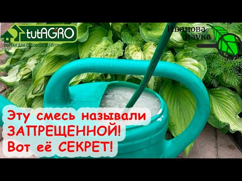 Видео: МЕНЬШЕ БЕГАТЬ ПО ОГОРОДУ и получать БОЛЬШОЙ УРОЖАЙ. Как получить САМУЮ МОЩНУЮ ПОДКОРМКУ? Всё просто.
