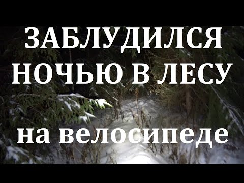 Видео: ЗАБЛУДИЛСЯ НОЧЬЮ ЗИМОЙ НА ВЕЛОСИПЕДЕ В ЛЕСУ | ФЭТБАЙК ЗИМОЙ