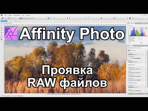 Видео: Affinity Photo обработка RAW файлов. Краткий обзор возможностей.
