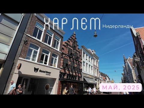 Видео: Нидерланды, Харлем 9 мая 2025