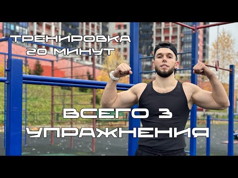 Видео: Эффективная тренировка Full Body на свежем воздухе! Замена спортзалу!