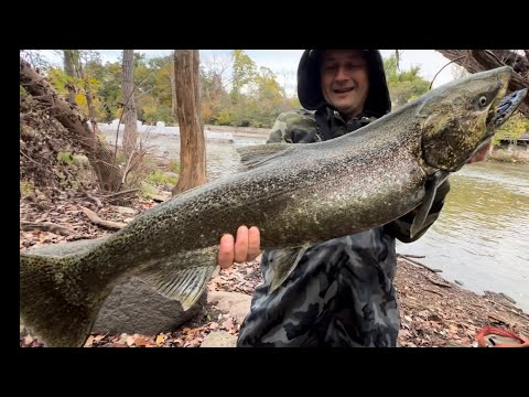 Видео: Обалденная 🎣рыбалка МОННСТРОВ ЛОСОСЕЙ! Огромная и сильная рыба!