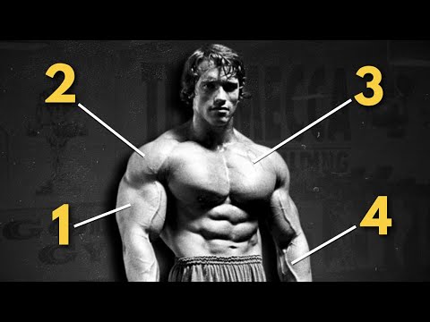 Видео: Утраченный секрет, который сделал бодибилдеров Золотой Эры такими чертовски эстетичными
