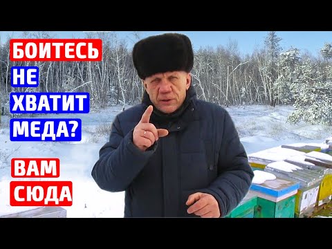 Видео: Когда кормить пчел зимой и главное зачем? Зимовка пчел.