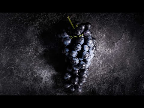 Видео: Классика Испании Темпранильо Tempranillo чистокровный испанец