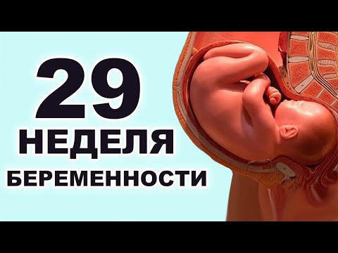 Видео: Что происходит с ребёнком и мамой на 29 неделе беременности? 7 месяц беременности. Третий триместр.