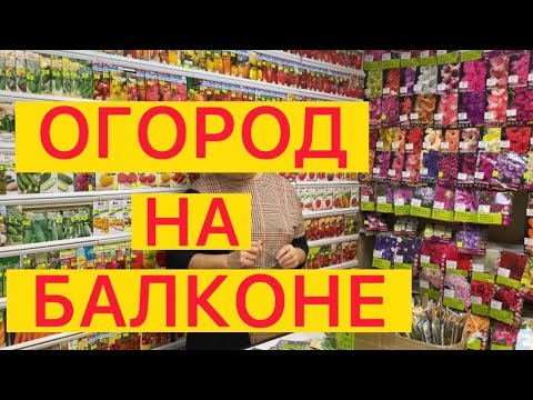 Видео: ЧТО МОЖНО ВЫРАСТИТЬ НА БАЛКОНЕ ИЛИ НА ОКНЕ ДОМА