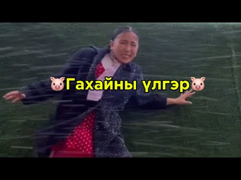 Видео: Гахайны үлгэр🐷❤️  #lumo #mongolia #mongolian
