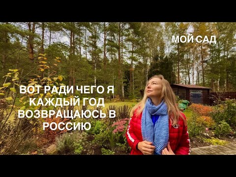 Видео: Осень, сад и я перед дорогой. Захотелось просто показать мой любимый уголок.
