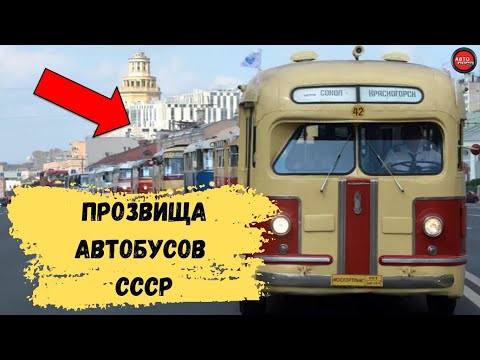 Видео: ЗАБАВНЫЕ ПРОЗВИЩА СОВЕТСКИХ АВТОБУСОВ.