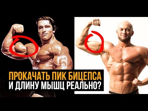 Видео: КАК НАКАЧАТЬ ПИК БИЦЕПСА и УВЕЛИЧИТЬ ДЛИНУ МЫШЦЫ?