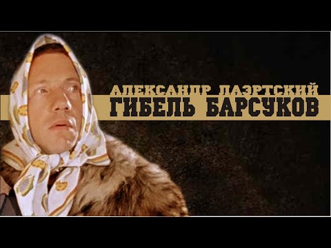 Видео: Александр Лаэртский. Гибель барсуков.