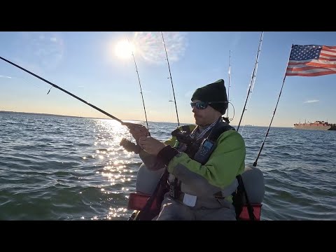 Видео: Черная рыба Западного Звука {Catch Clean Cook}