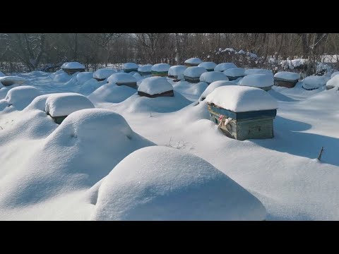 Видео: Гибель 50 семей !Боюсь открывать улики! А там...