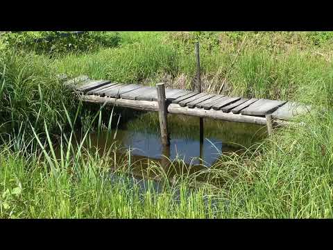 Видео: МЫ ПОЕМ  БИТЛЗ