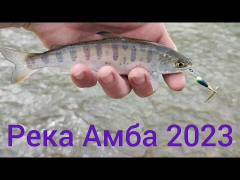Видео: Рыбалка. Река Амба 2023. Хасанский район.