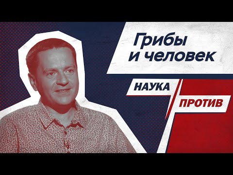 Видео: Миколог против мифов об употреблении грибов  // Наука против
