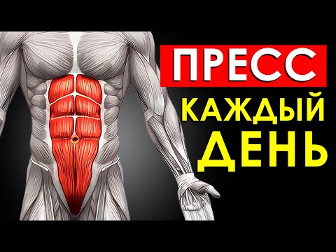 Видео: Что Будет с Вашим Телом, Если Качать Пресс Каждый День