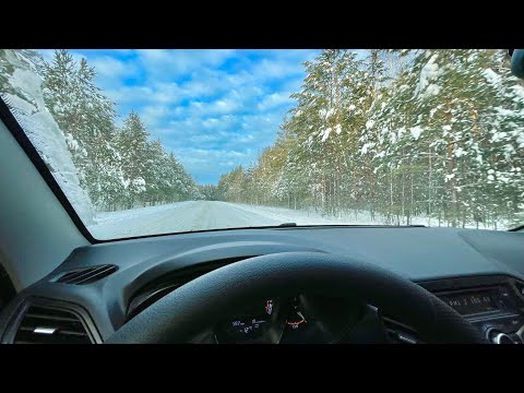Видео: В поисках новогодних Ёлок)) Завтра в Удмуртию!