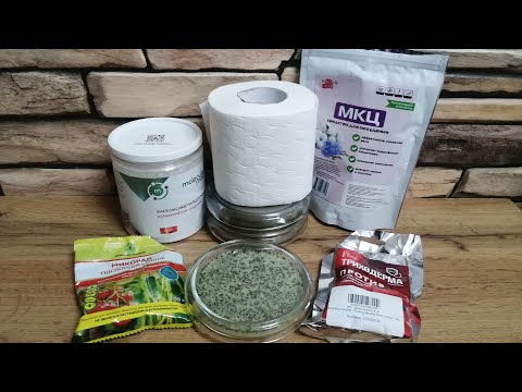 Видео: Селективная среда для триходермы. Очищаем грязные препараты.