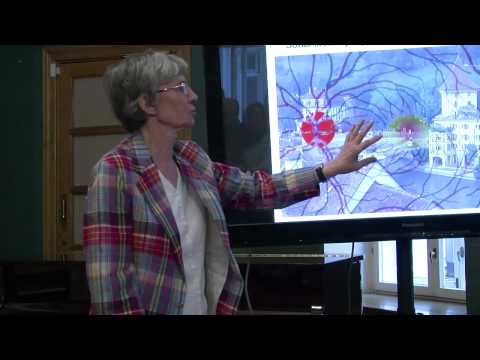 Видео: Публичные лекции. Галина Рожкова. Механизмы бинокулярного зрения человека и восприятие фильмов в 3D