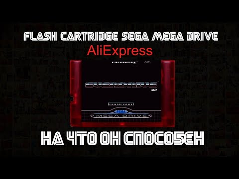 Видео: Flash Cartridge Sega с AliExpress.