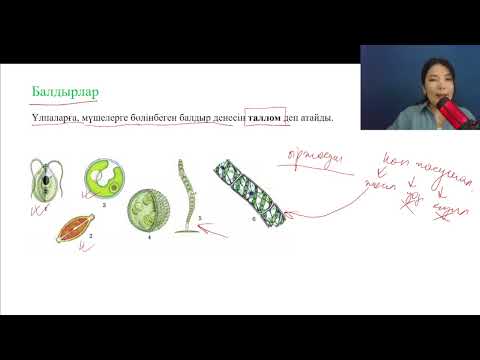Видео: Өсімдіктер | ҰБТ-да көп оқушы қиналатын тақырып