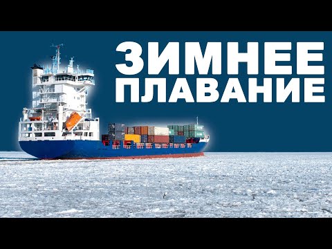 Видео: 7 минут в холодной воде. Зимнее плавание.