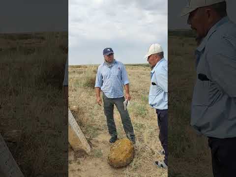 Видео: Экспедиция. Құлпытас зерттеу.