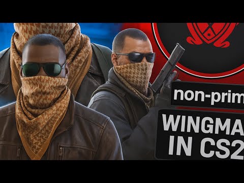 Видео: ЕСТЬ ЛИ ЖИЗНЬ БЕЗ ПРАИМА? НАПАРНИКИ ПРОТИВ ЧИТЕРА В КС2