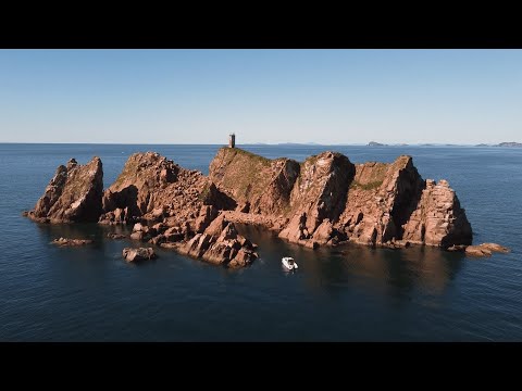 Видео: Морские прогулки на катере Nissan SunCat - тюлени-ларга, о-ва Верховских, Тобизина, Басаргина, Шкота