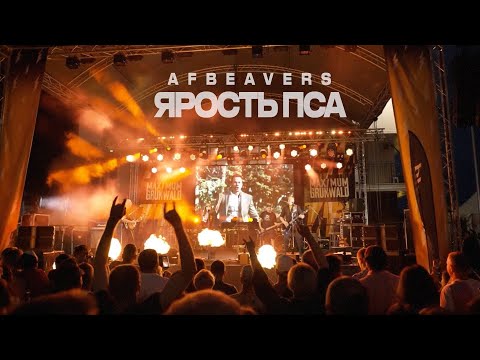 Видео: AFBBEAVER - Ярость пса