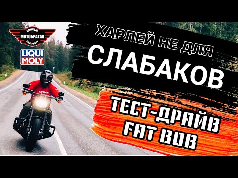 Видео: Харлей - не для слабаков. Тест драйв Harley-Davidson FAT BOB.