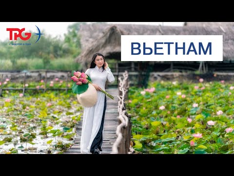 Видео: Общий вебинар по Вьетнаму