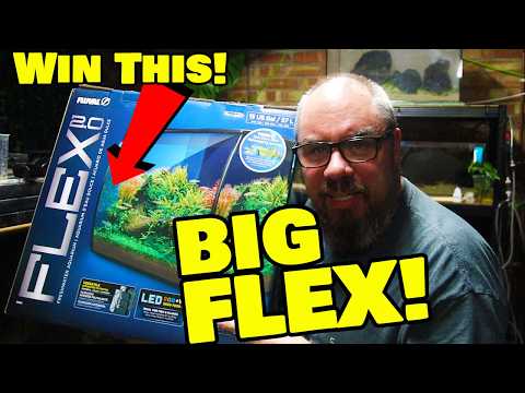 Видео: Акваскейпинг: новый аквариум Fluval Flex 2.0 и розыгрыш призов!