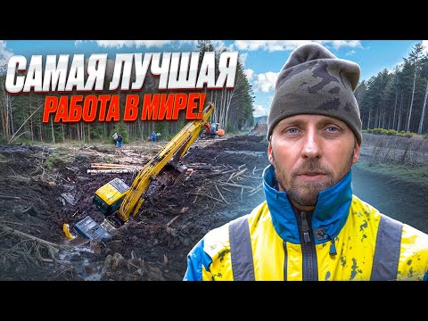 Видео: Самая лучшая работа в мире! | Best Job We Ever Had