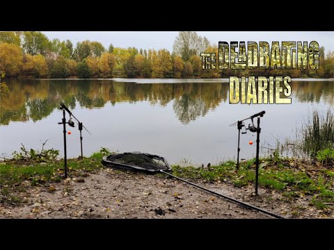 Видео: Дневники травли мертвецов. Часть 3