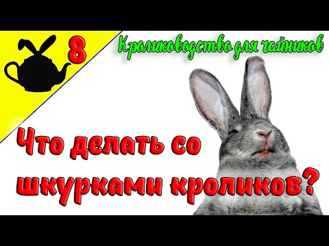 Видео: ЧТО ДЕЛАТЬ СО ШКУРКАМИ КРОЛИКОВ? / Кролиководство для чайников 8