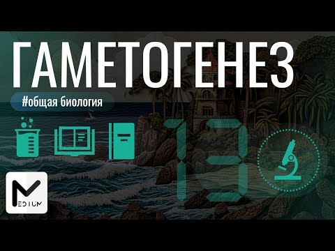 Видео: Гаметогенез / ЕГЭ по биологии 2025