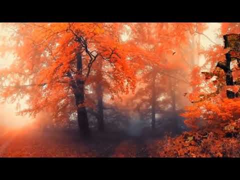 Видео: "Қоңыр күз". сөзі: Мықтыбек Зәуірбековтікі. әні: Гауһар Тоқайқызынікі. ор-н Гауһар Тоқайқызы.