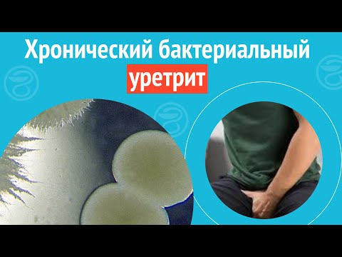 Видео: 😧 Хронический бактериальный уретрит. Клинический случай №1438