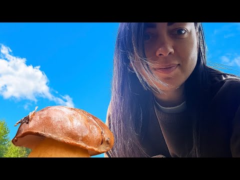 Видео: Скільки видів грибів знайдено за день?