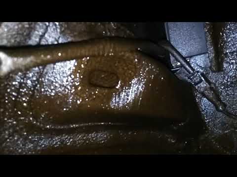 Видео: Dacia/Renault Sandero - антикоррозийная обработка кузова