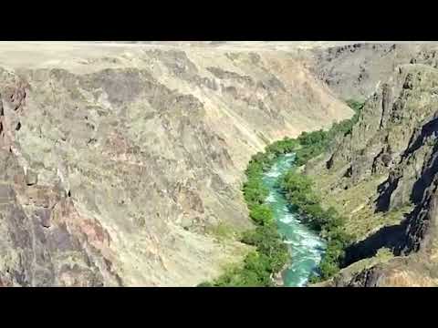 Видео: Арай тобы той андери Билеикши