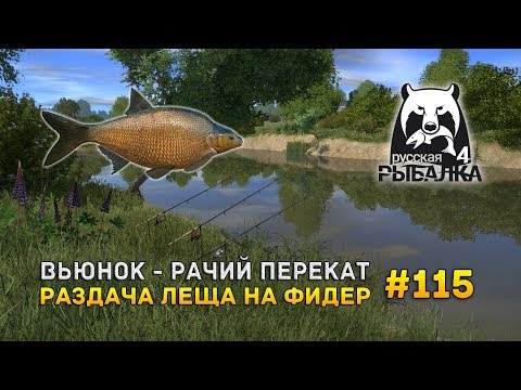 Видео: Русская Рыбалка 4 #115 - Вьюнок - Рачий перекат. Раздача леща на фидер