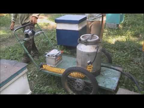 Видео: ведра вместо кормушек