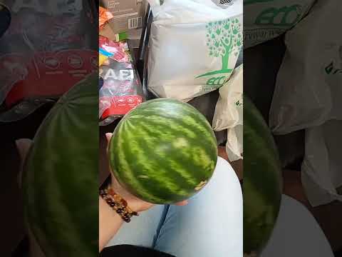 Видео: Aldi 🛍️ покупки #польща #lake #підпишись #zakupy #aldi #покупки #жизньвпольше #лайк 
