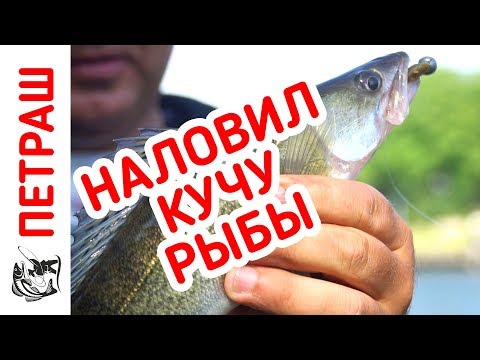 Видео: Наловил МНОГО РЫБЫ под ногами! Рыбалка в новом месте!