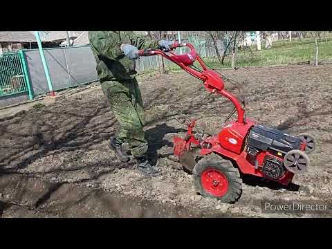 Видео: Посадка картофеля с помощью мотоблока Салют