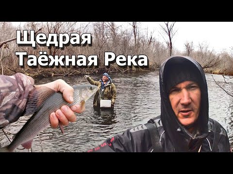 Видео: Рыбалка на горной таёжной реке! Вот это рыбалка клёв как из бочки!
